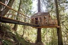 Treehouse Point Treehouse Tour