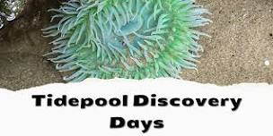 Tidepool Discovery Days (June)