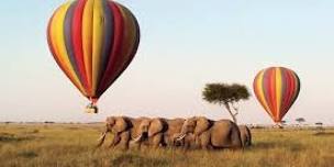 Maasai Mara Private Tour - 3 Days