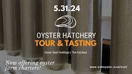 Oyster Hatchery Tour & Tasting