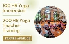 100 HR Yoga Immersion/200 HR Teacher Training