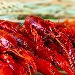 DA CAJUN SHACK'S 4TH ANNUAL CRAWFISH COOK-OFF