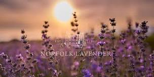 Lavender Field Tickets