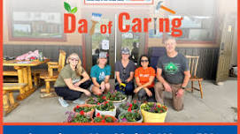 Day of Caring