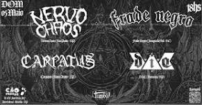 NERVOCHAOS - CARPATUS - FRADE NEGRO - D.I.E.