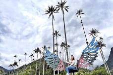 Cocora Valley & Salento Hike Tour: Embrace Nature in the Coffee Region with a Trip to Wax Palm Home