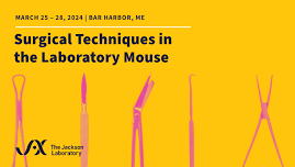 Workshop on Surgical Techniques in the Laboratory Mouse