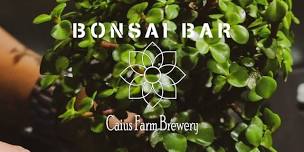 Bonsai Bar @ Caius Farm Brewery