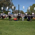 Sakura Matsuri – Cherry Blossom Festival