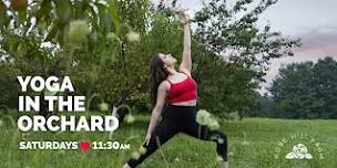 Yoga in the Orchard at Rose Hill Farm Tickets, Multiple Dates