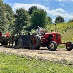 Antique Tractor Pull