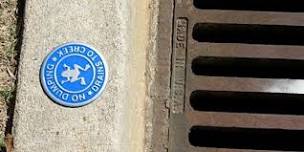 Storm Drain Marking