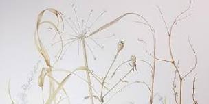 Winter Botanical Painting Workshop