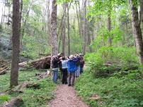 Guided Trail Walk