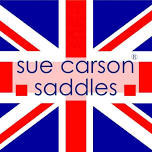 Sue Carson Saddle Fit Demo Evening