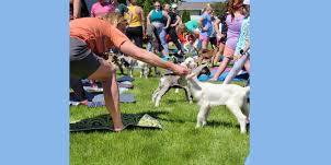 Goat Yoga | August 24