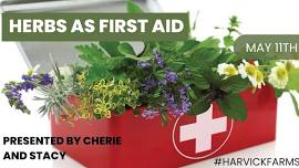 Herbs as First Aid 101