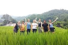 Eco 2 Hours Trekking @Pha Dok Siaw + Doi Inthanon & Royal Project Small Group 4 - 9 people only :D