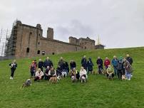 Scotland ( Linlithgow Palace ) Bulldog Walk For GBSR UK