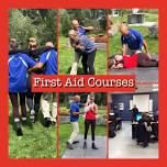 Standard First Aid Course