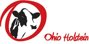 OSF – Mideast Summer National Holstein JUNIOR Show