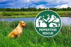 Peppertree Rescue Adoption Event