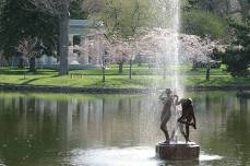 Creeks, Ponds and Wetlands of Forest Lawn