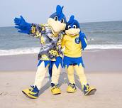 Blue Hens Beach Bash