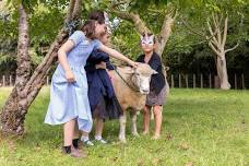 Animal Experience Session + Pony Ride - 7 SPACES