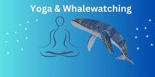 Yoga & Whalewatching Day - Hervey Bay