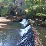 Mason Mill Park, Lullwater Preserve, Hahn Woods and Melton - Longer - New time