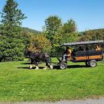 FREE Horse-Drawn Wagon Rides with Silvershire Farm