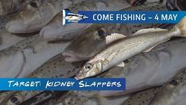 Come Fishing - KG Whiting Charter