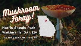 Guided Mushroom Foray | Watkinsville GA