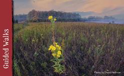 Creation of a Nature Preserve