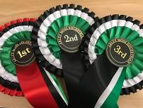 Arley Moss Equestrian BD Dressage