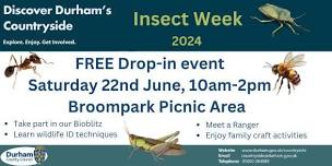 Free drop in event. Broompark Picnic Area. Saturday 22nd June. 10am-2pm. All welcome.