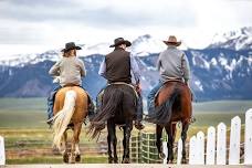 Pitchfork Ranch Horse Sale