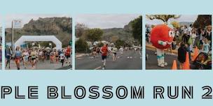 Apple Blossom Run 2024