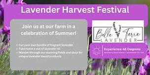 Lavender Harvest Festival