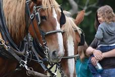 Living History Event: The Sound of 1776 Two-Day Event!