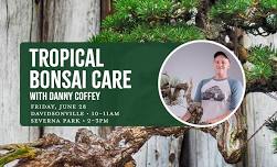 Tropical Bonsai Care with Danny Coffey