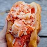 Lobster Dogs at TASTY TUESDAY in STOCKBRIDGE