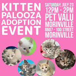 Kitten Palooza Adoption Event