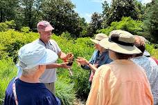 Summer Weeds Workshop