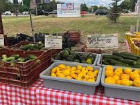 Lakewood Farmers Market + Picnic