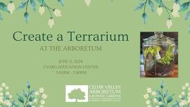 Create a Terrarium at the Arboretum