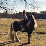 Spring Pony Rides