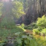 Cosumnes River Water Quality Monitoring