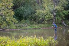 Fly Fishing For Beginners